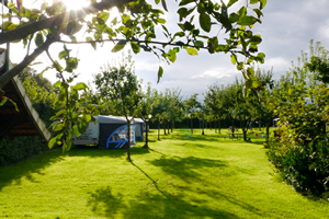 de appelweide camping achterhoek gelderland4